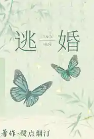 [历史] 逃婚后去往何处 NP,适合女生,官场