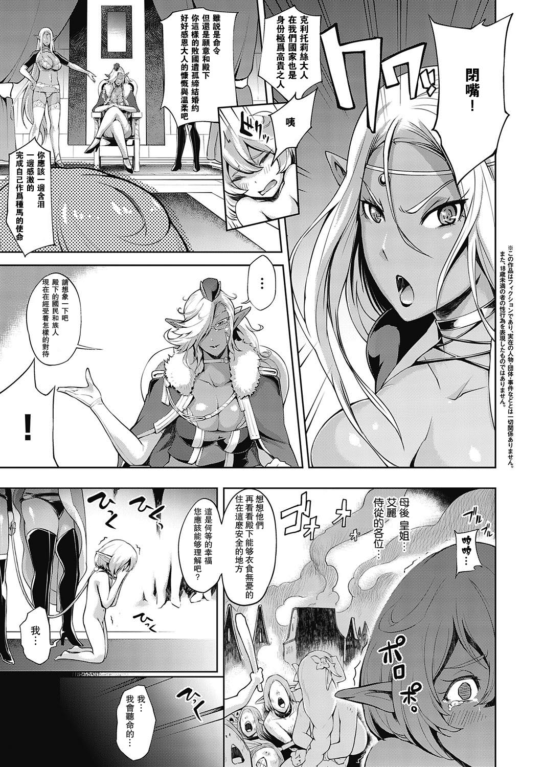 [日本漫画] 亡国の殿下 单本,熟女人妻,巨乳大奶,黑丝丝袜,正太控,妖精#[27P]-3