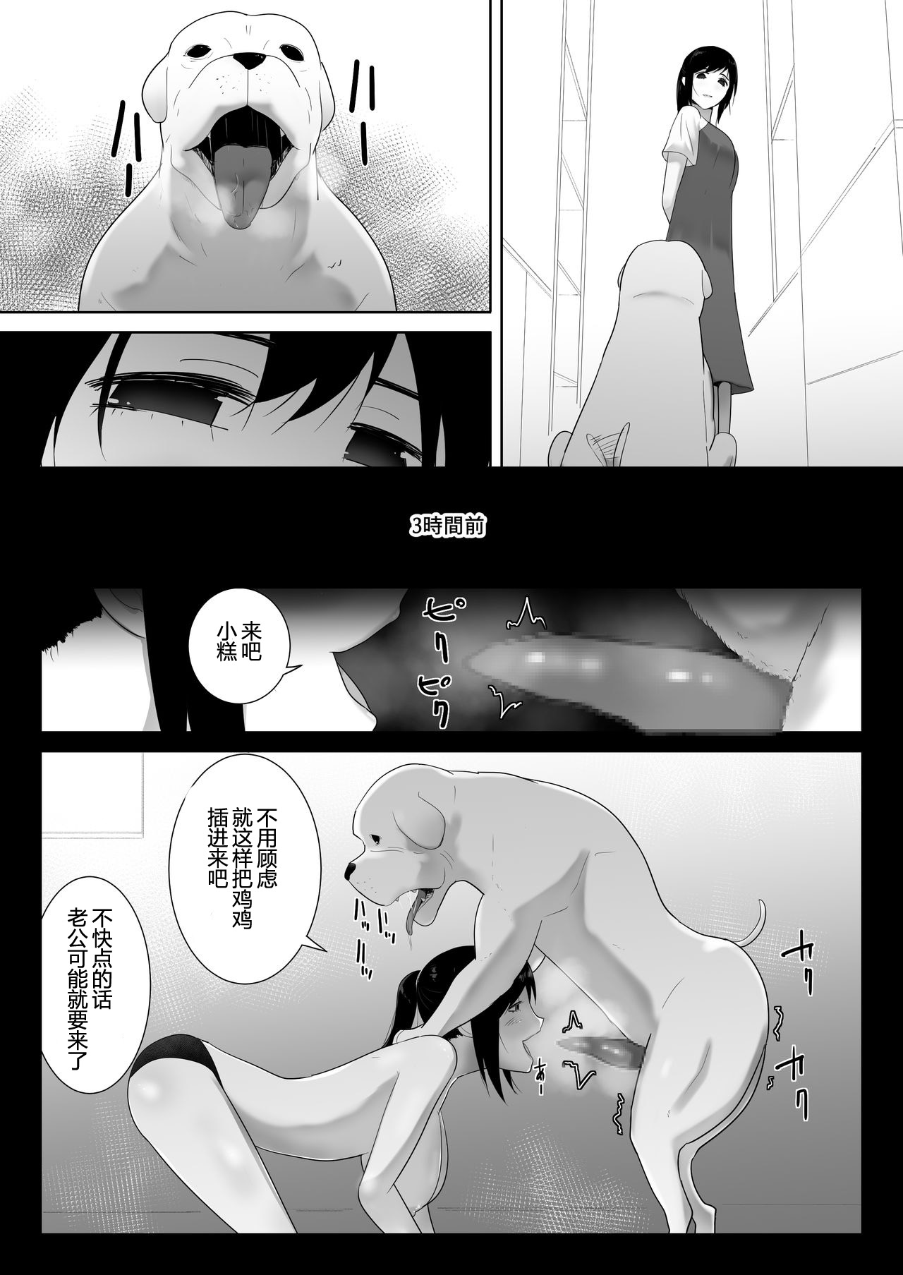 [日本漫画] 我が家にペットがやってきた 2 单本,不伦#[49P]-23