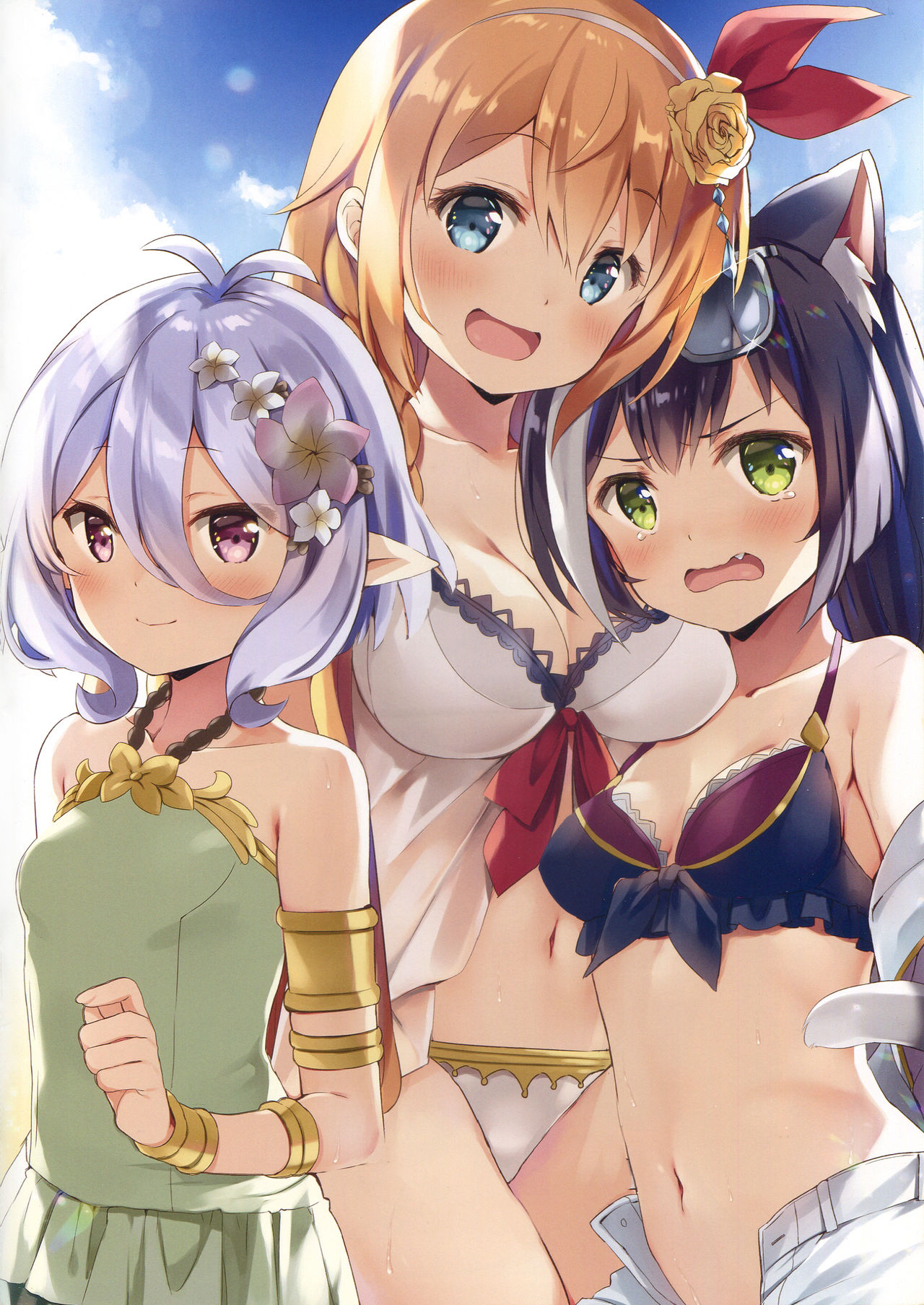 [日本漫画] (C97) [ichigosize (Natsume Eri)] Bishokuden no Ecchi na Hon (Princess Connect! Re:Dive)  单本,萝莉,群P,毛茸茸#[14P]-11