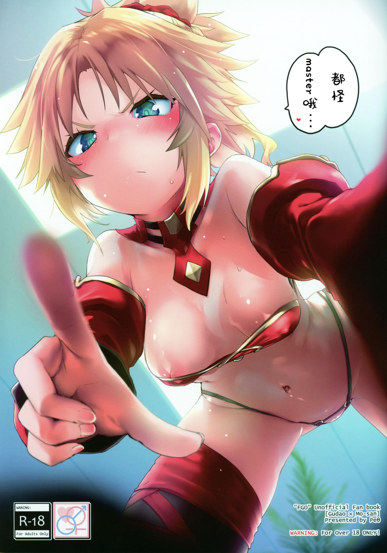 [日本漫画] (C97) [Peθ (Mozu)] Master no Sei da zo... (Fate/Grand Order)  单本,黑丝丝袜,单女,单男#[21P]-1