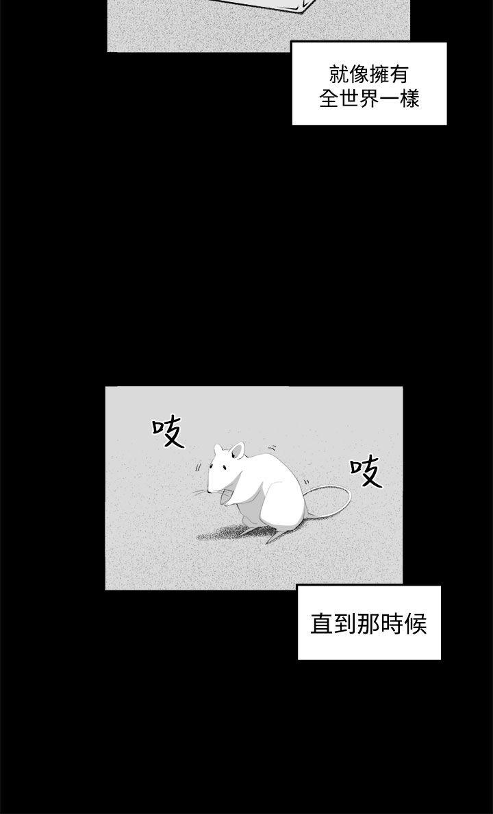 [韩国漫画] 圈套 剧情,巨乳大奶,女学生#[37P]-8