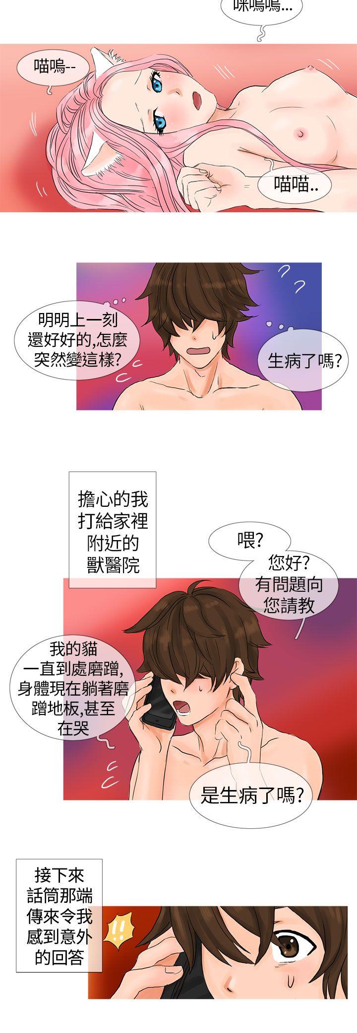 [韩国漫画] 小野猫驯服手册 奇幻,巨乳大奶#[12P]-2
