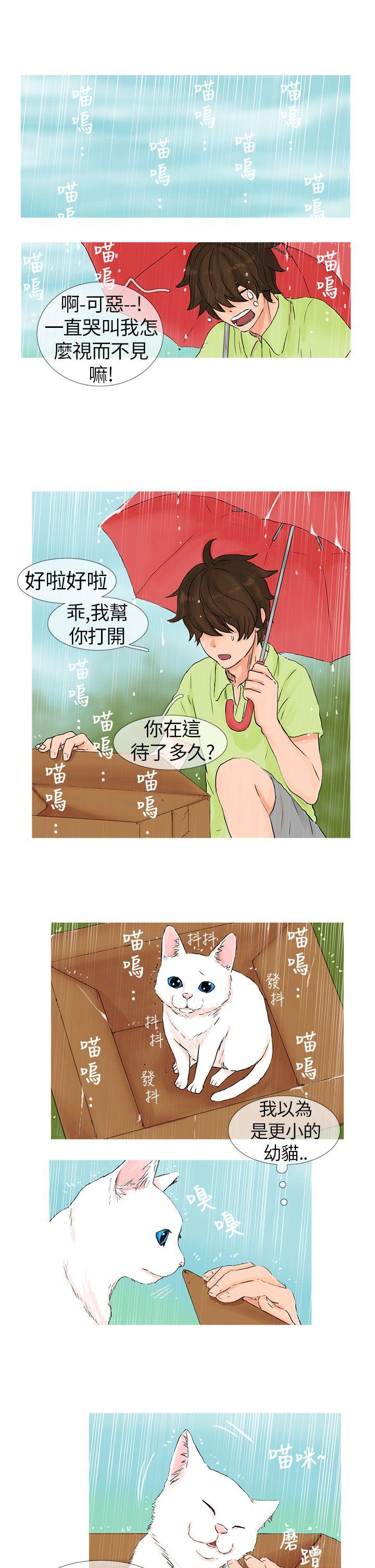 [韩国漫画] 小野猫驯服手册 奇幻,巨乳大奶#[12P]-5