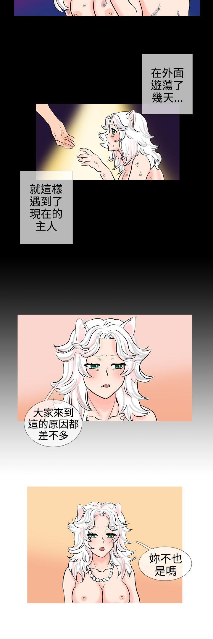 [韩国漫画] 小野猫驯服手册 奇幻,巨乳大奶#[11P]-9