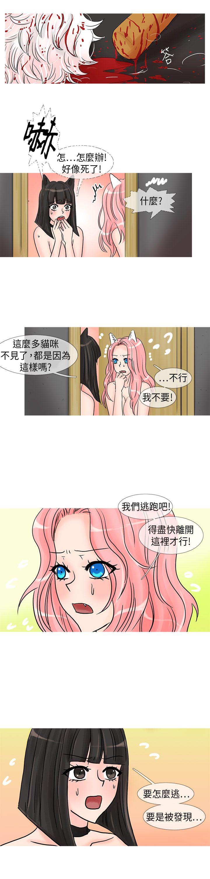 [韩国漫画] 小野猫驯服手册 奇幻,巨乳大奶#[12P]-10