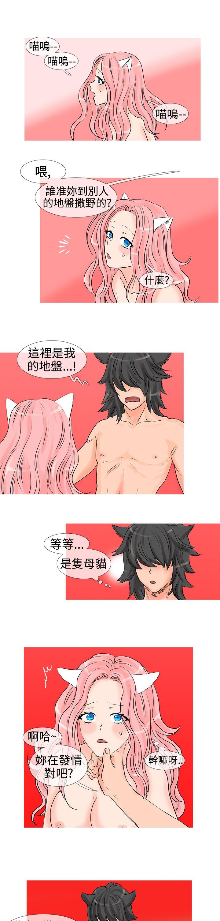 [韩国漫画] 小野猫驯服手册 奇幻,巨乳大奶#[10P]-7
