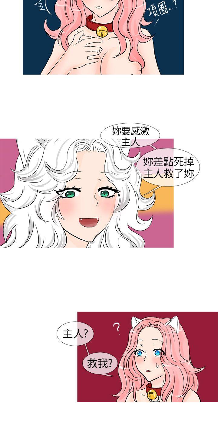 [韩国漫画] 小野猫驯服手册 奇幻,巨乳大奶#[10P]-8