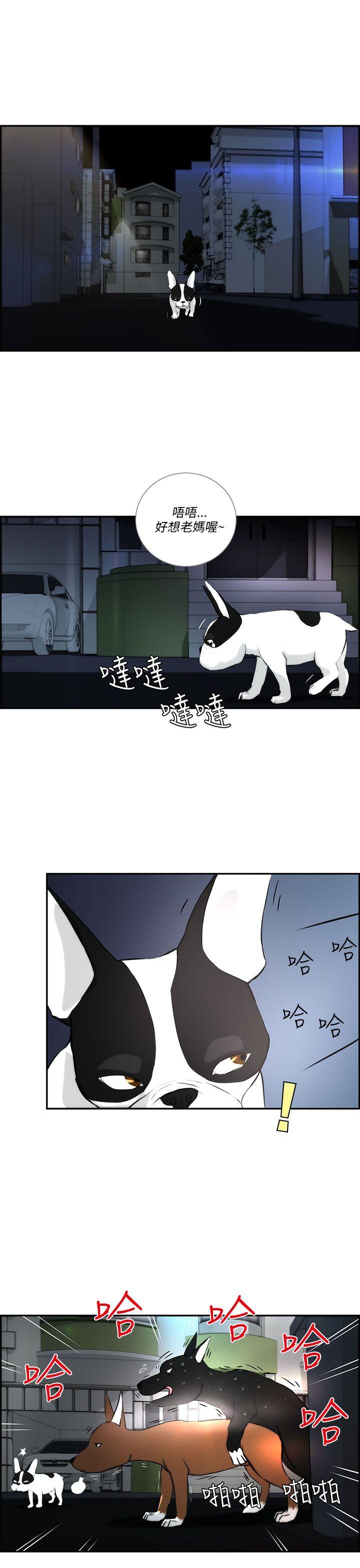[韩国漫画] 变成狗的男人 剧情,巨乳大奶#[27P]-7