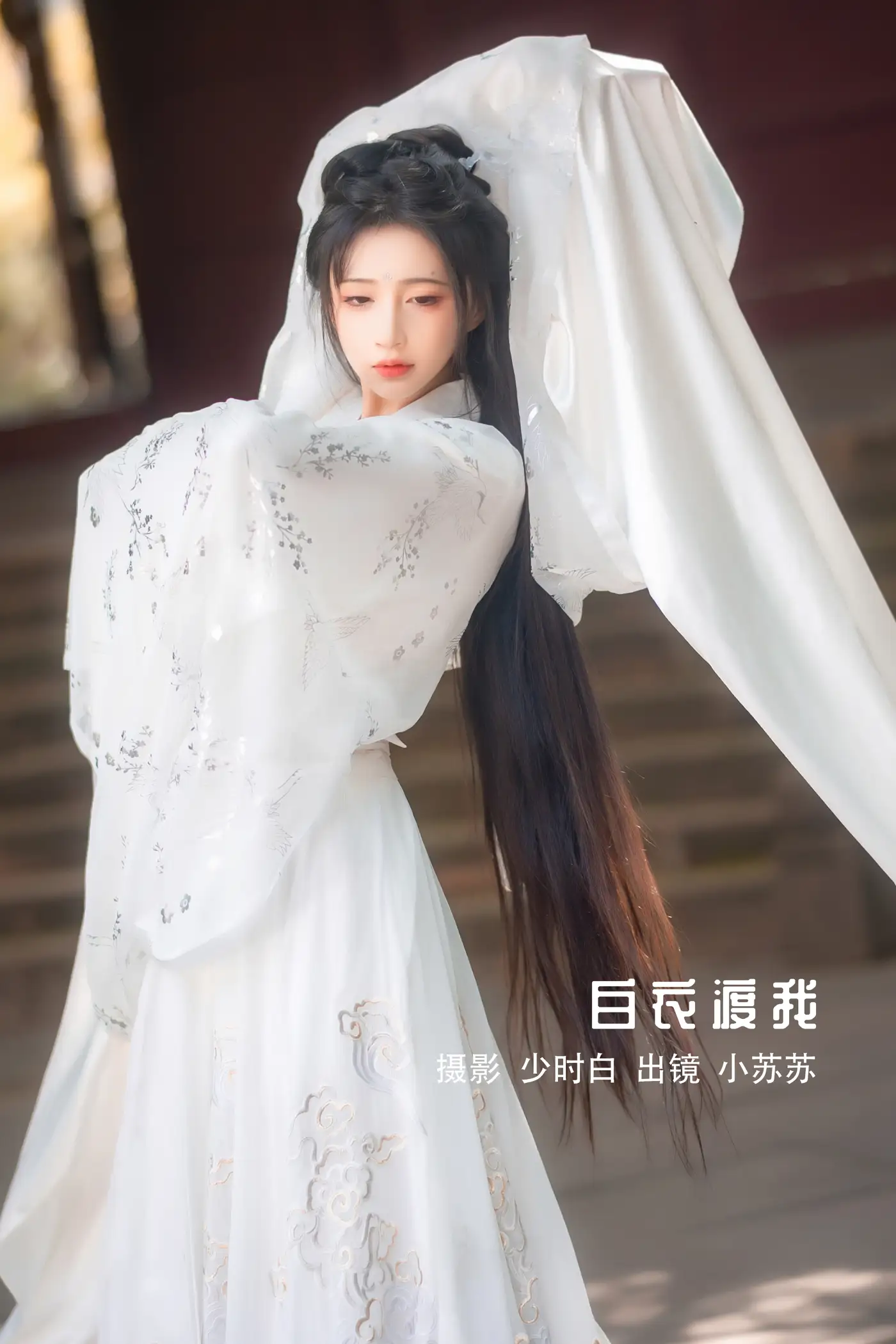 [艺图语] 2022.11.23 Vol.2505 白衣渡我