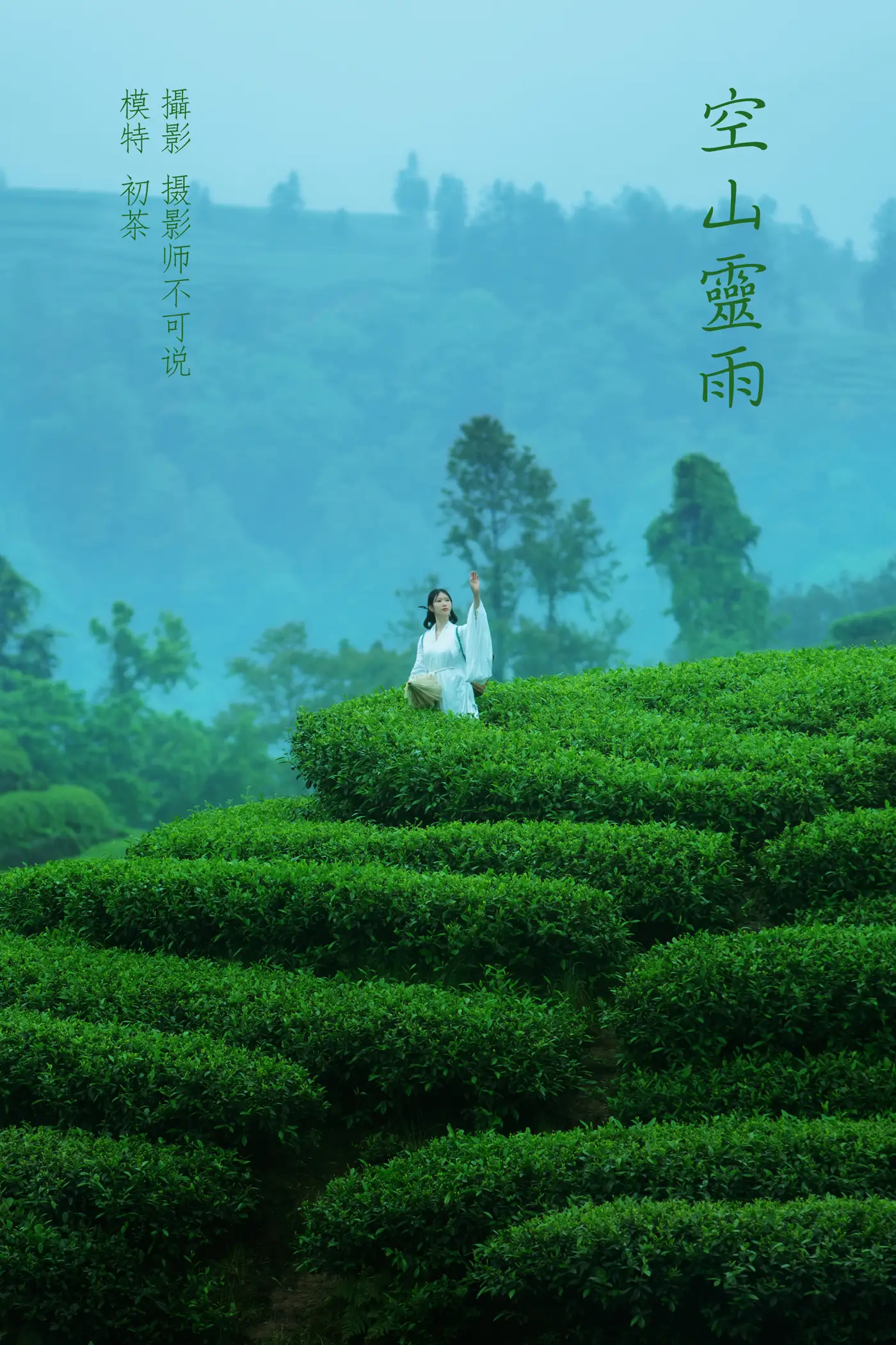 [艺图语] 2021.12.24 Vol.525 – 空山灵雨 初茶