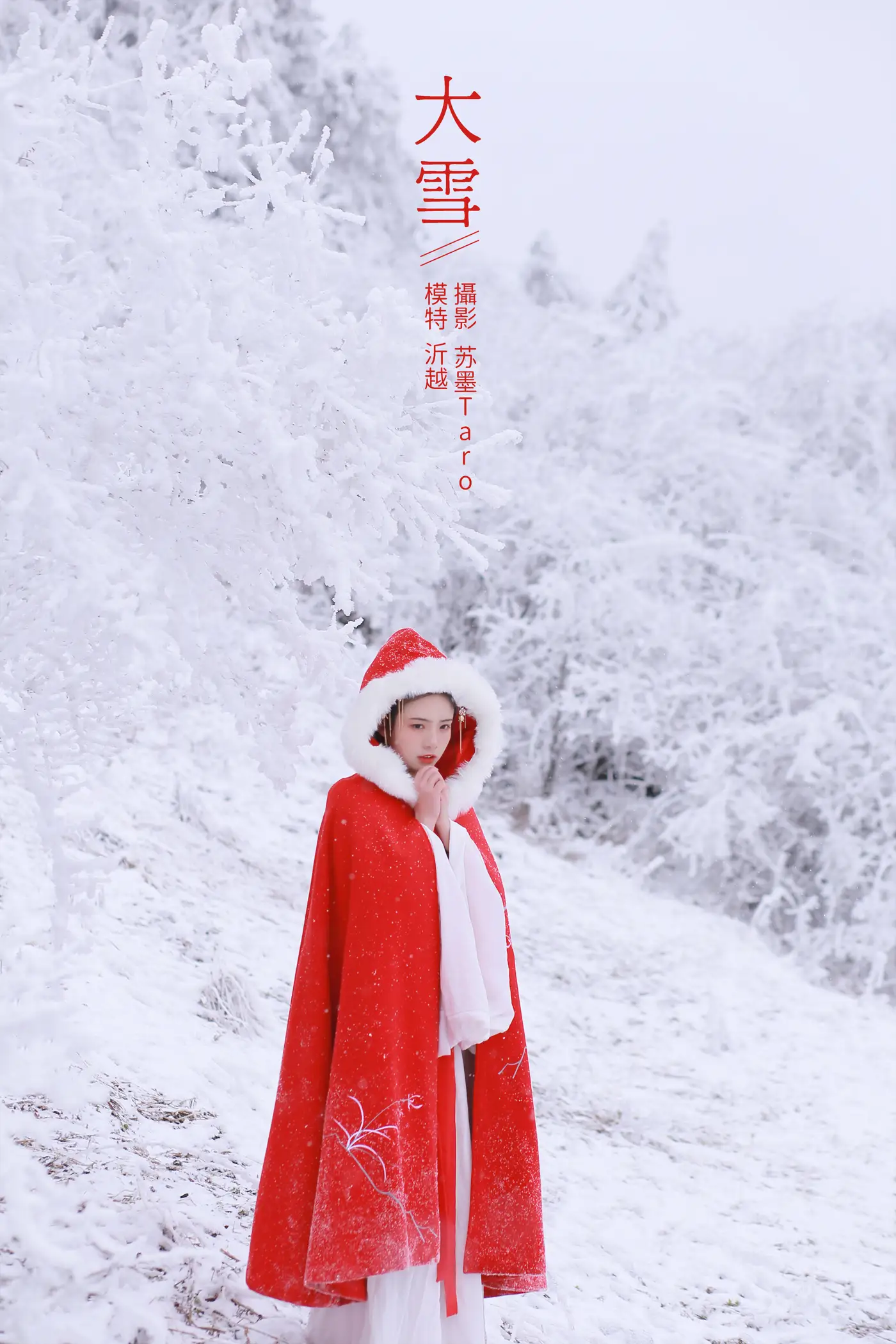 [艺图语] 2021.12.25 Vol.531 – 大雪 沂越
