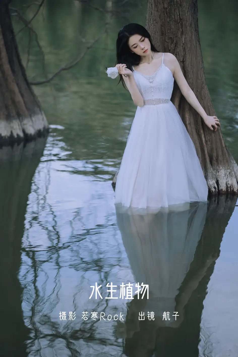 [艺图语] 2022.07.11 Vol.1447 – 水生植物 航子就是航子呀