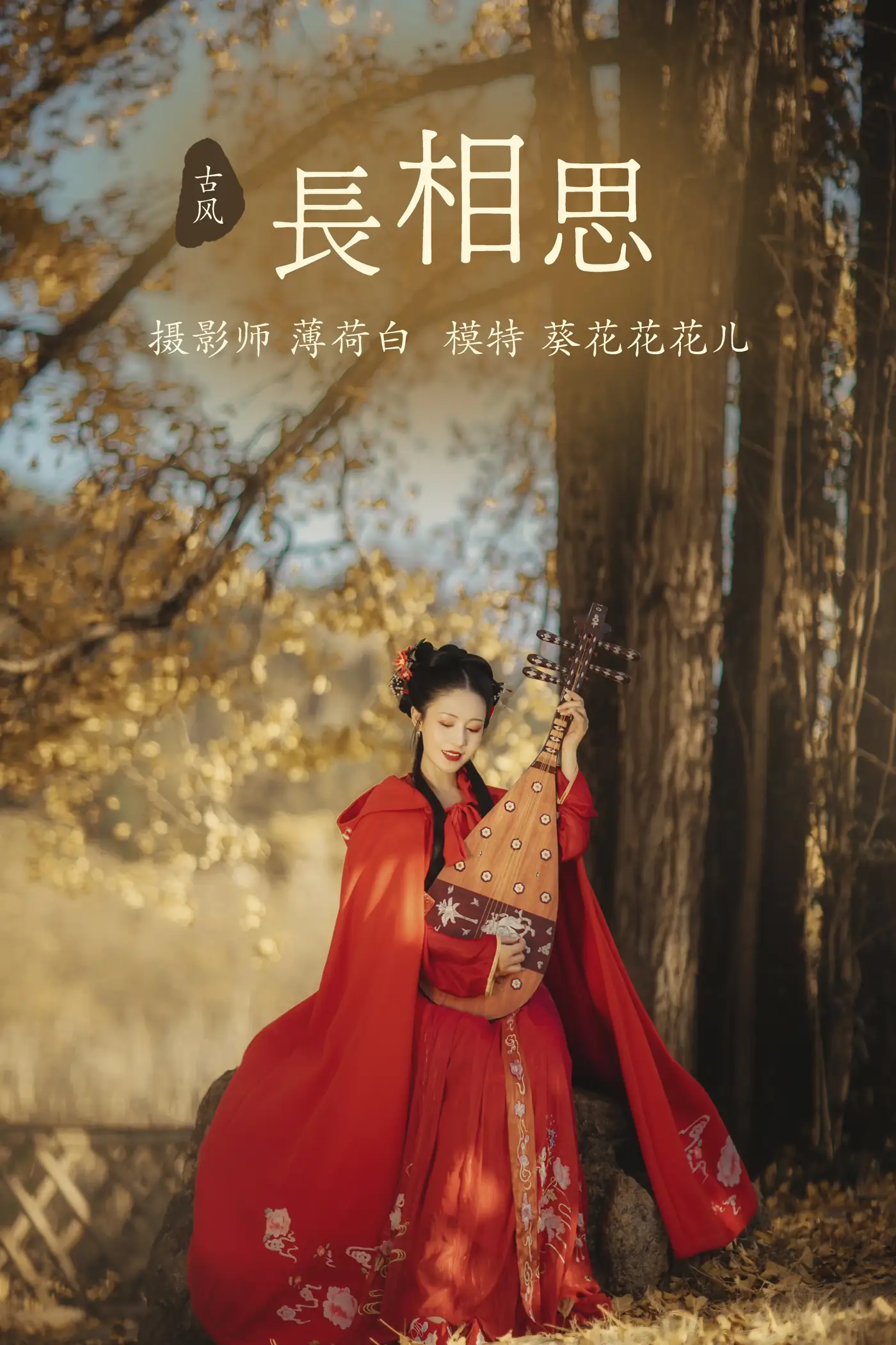 [艺图语] 2021.10.30 Vol.407 – 长相思 葵花花花儿