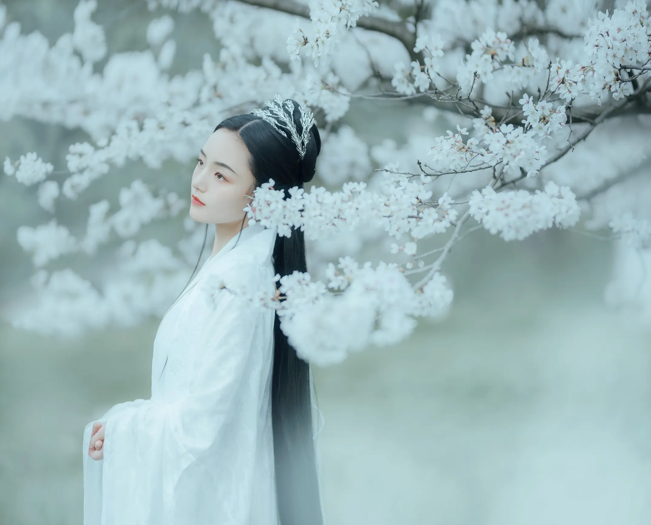 [艺图语] 2022.12.06 Vol.2613 – 樱吹雪 穆婕#[25P]-17