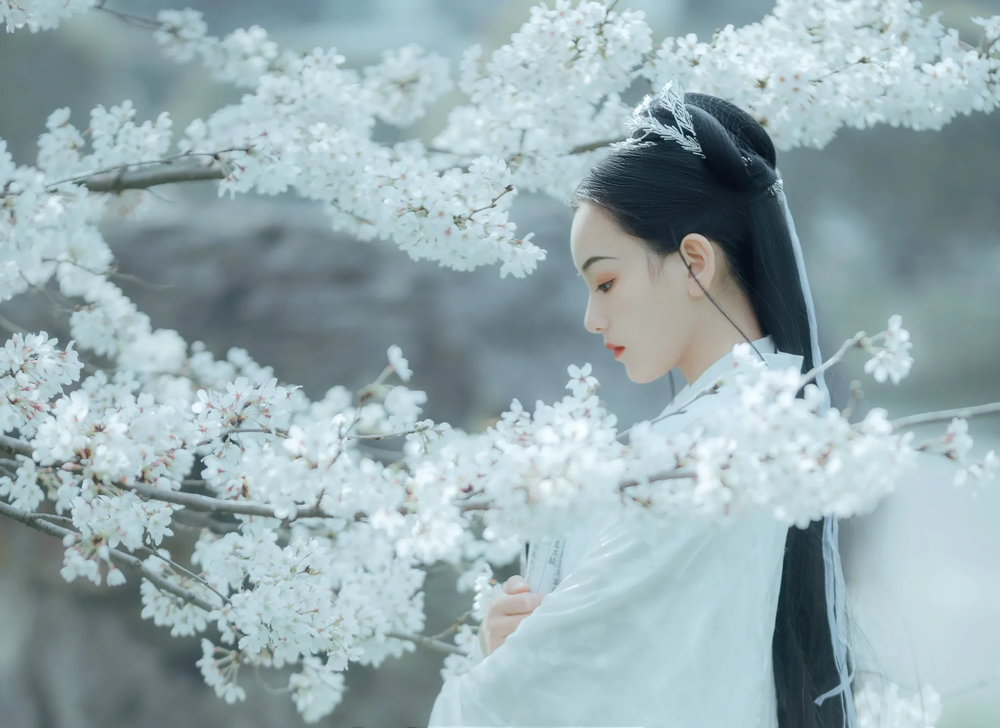 [艺图语] 2022.12.06 Vol.2613 – 樱吹雪 穆婕#[25P]-23