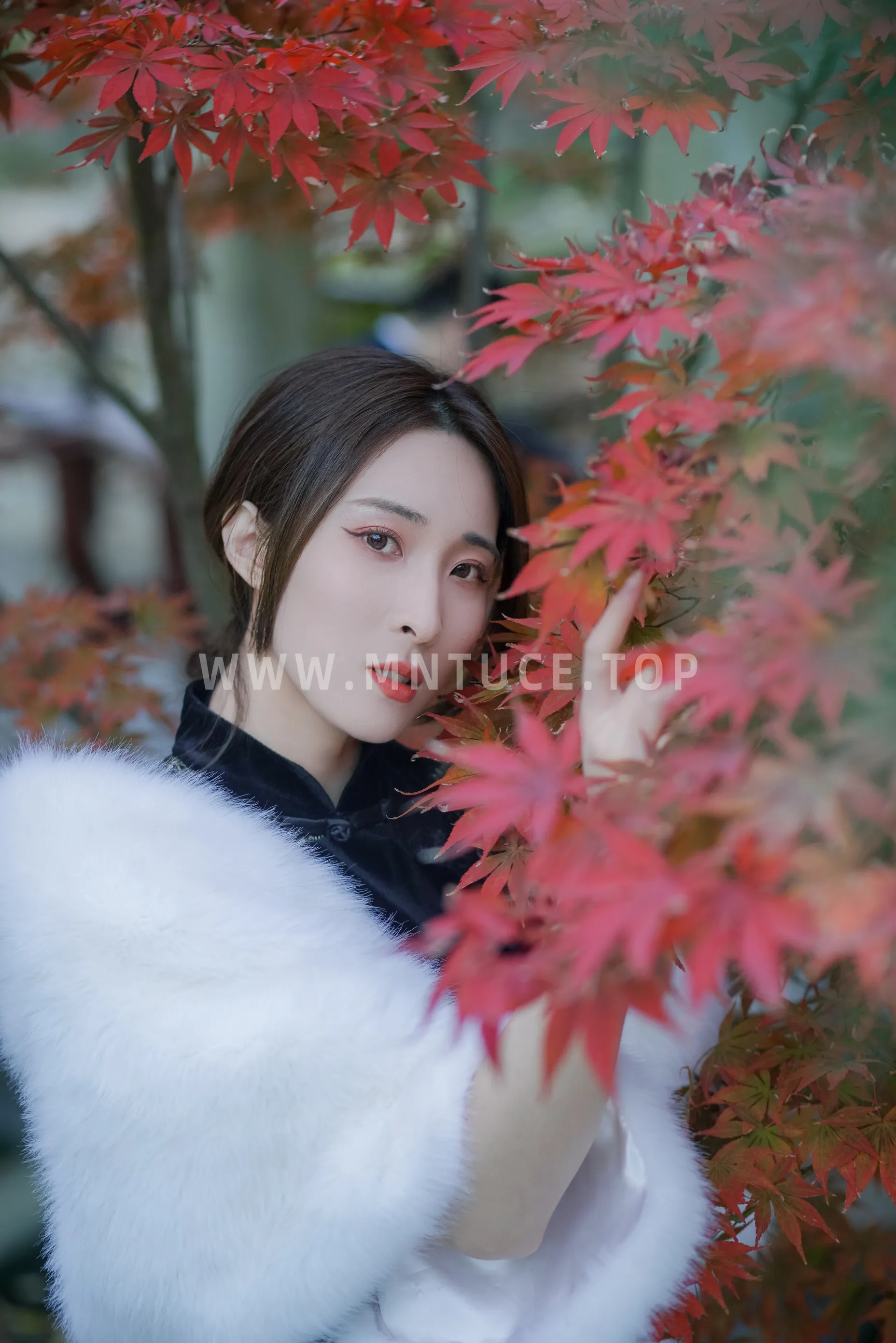 [艺图语] 2022.12.05 Vol.2603 – 红枫 阿音#[23P]-17