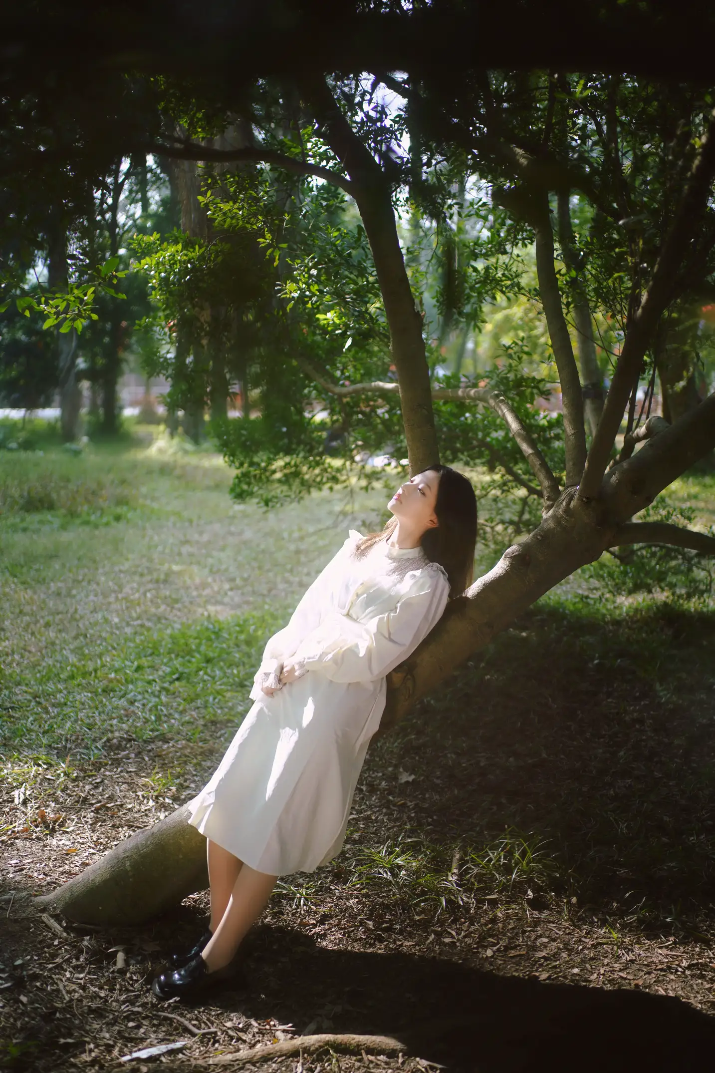 [艺图语] 2022.09.06 Vol.1884 – 森林的画框 张张#[29P]-6