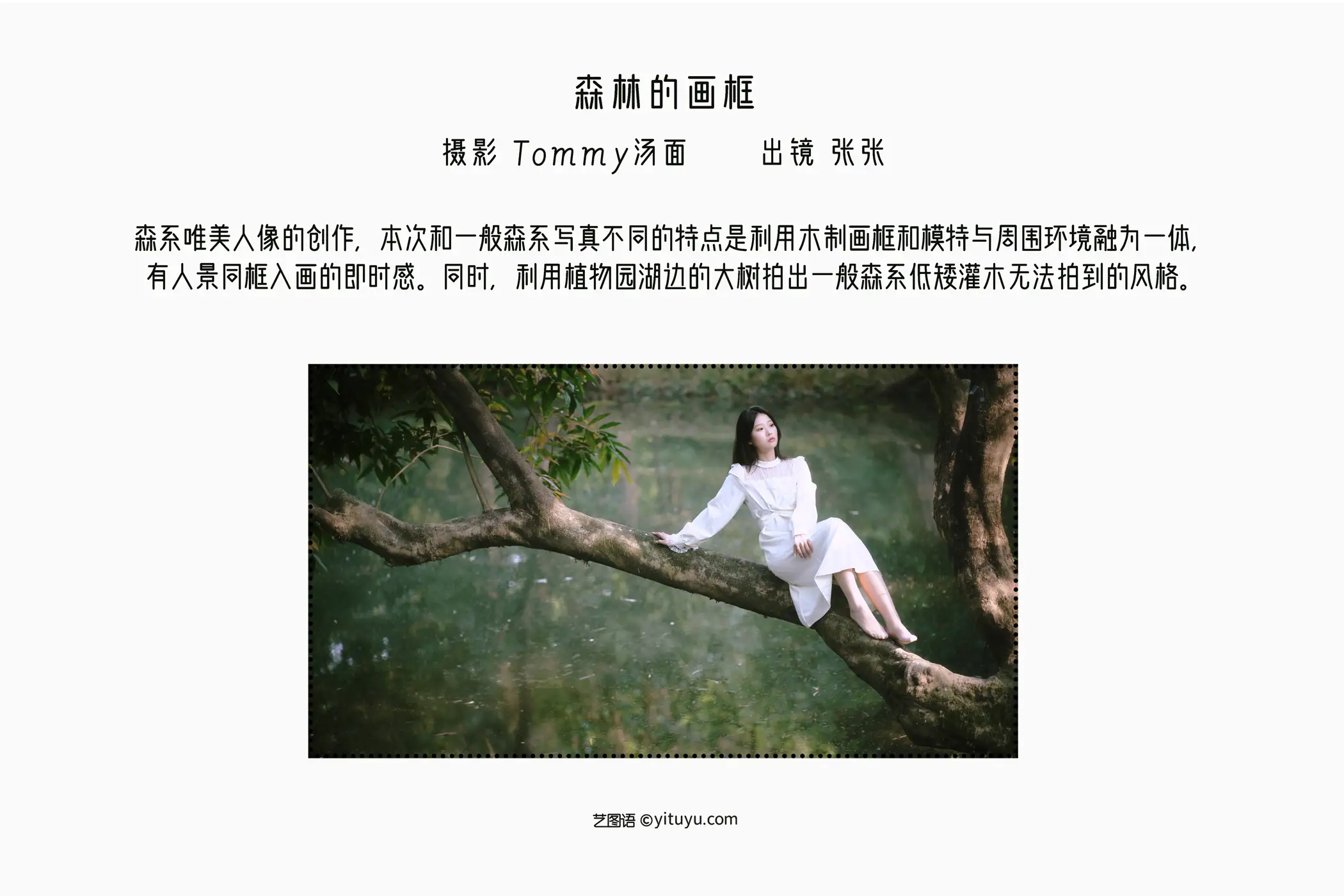 [艺图语] 2022.09.06 Vol.1884 – 森林的画框 张张#[29P]-2