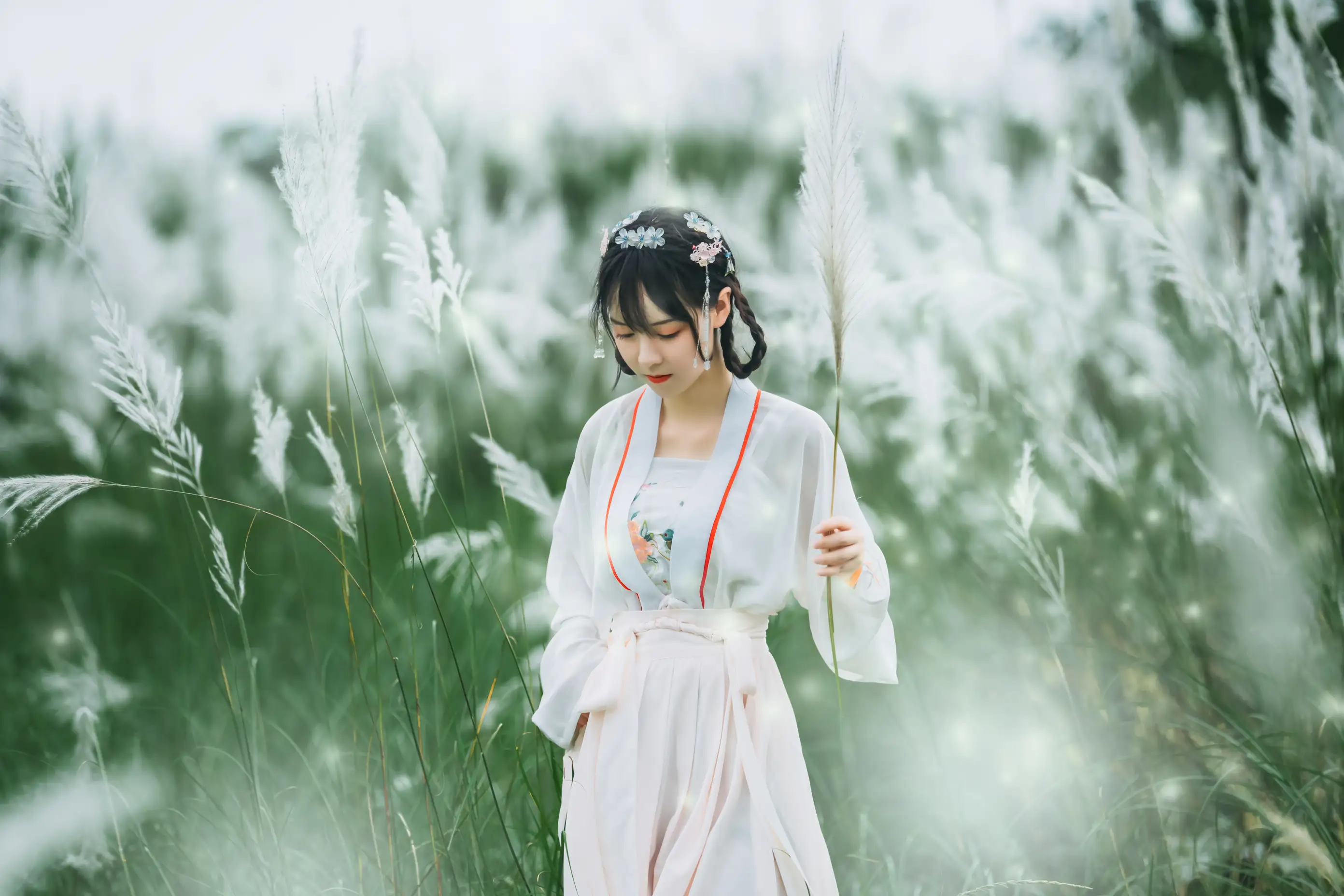 [艺图语] 2021.12.01 Vol.480 – 芦风起 李太白#[26P]-5