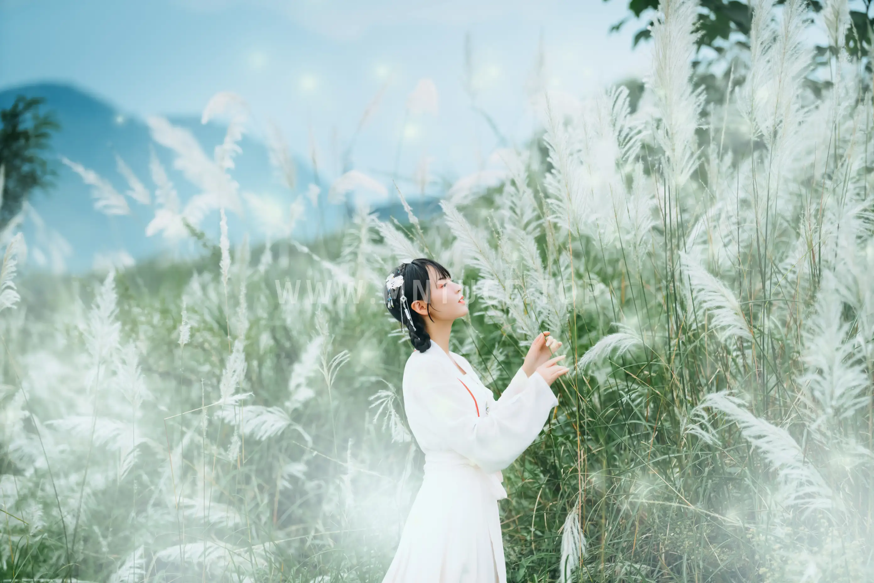 [艺图语] 2021.12.01 Vol.480 – 芦风起 李太白#[26P]-9