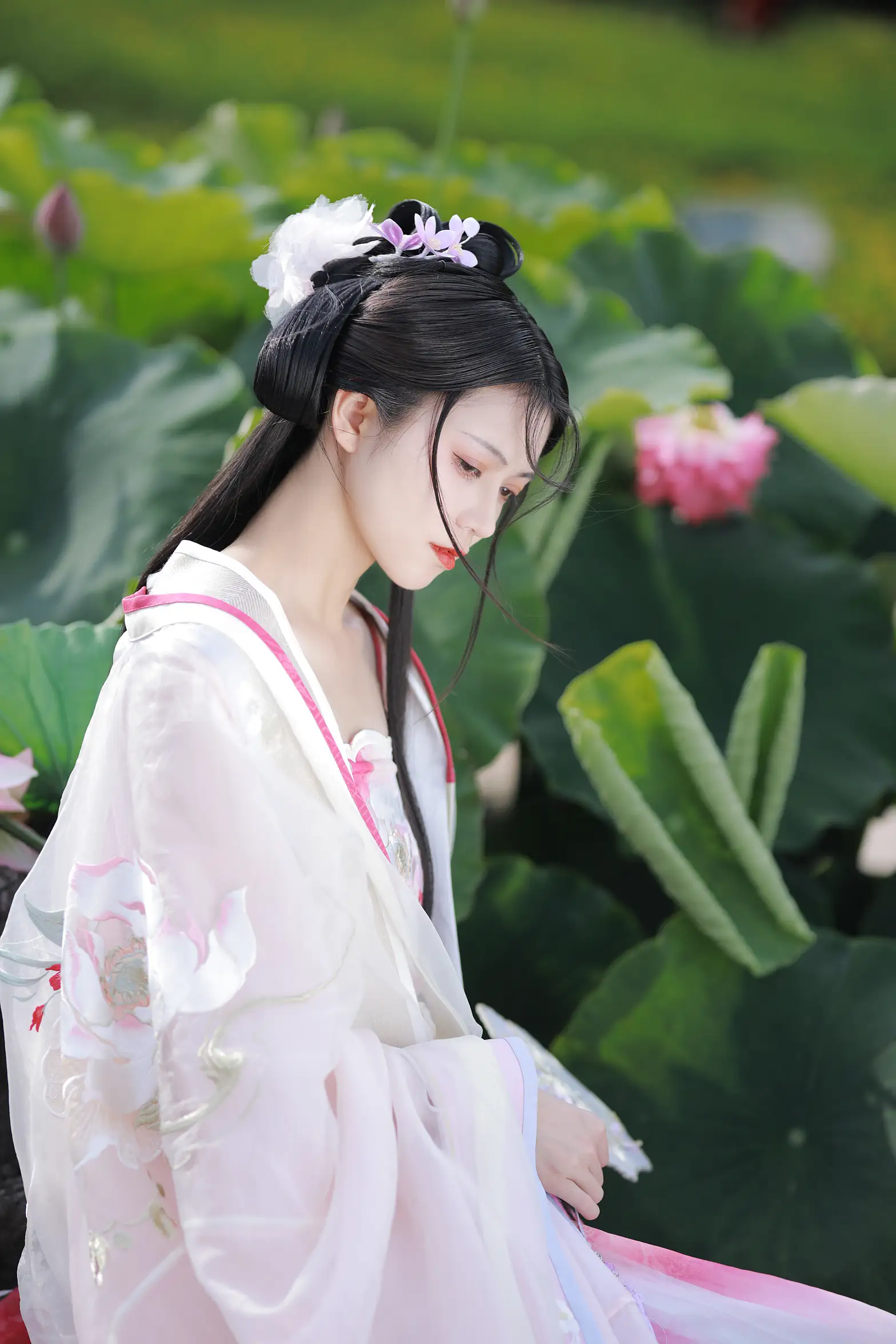 [艺图语] 2022.08.06 Vol.1639 – 山有扶苏，隰有荷华 吾岁#[39P]-16