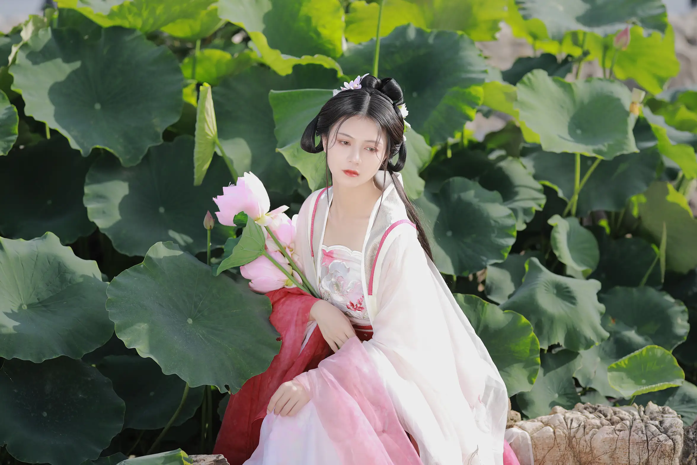 [艺图语] 2022.08.06 Vol.1639 – 山有扶苏，隰有荷华 吾岁#[39P]-34