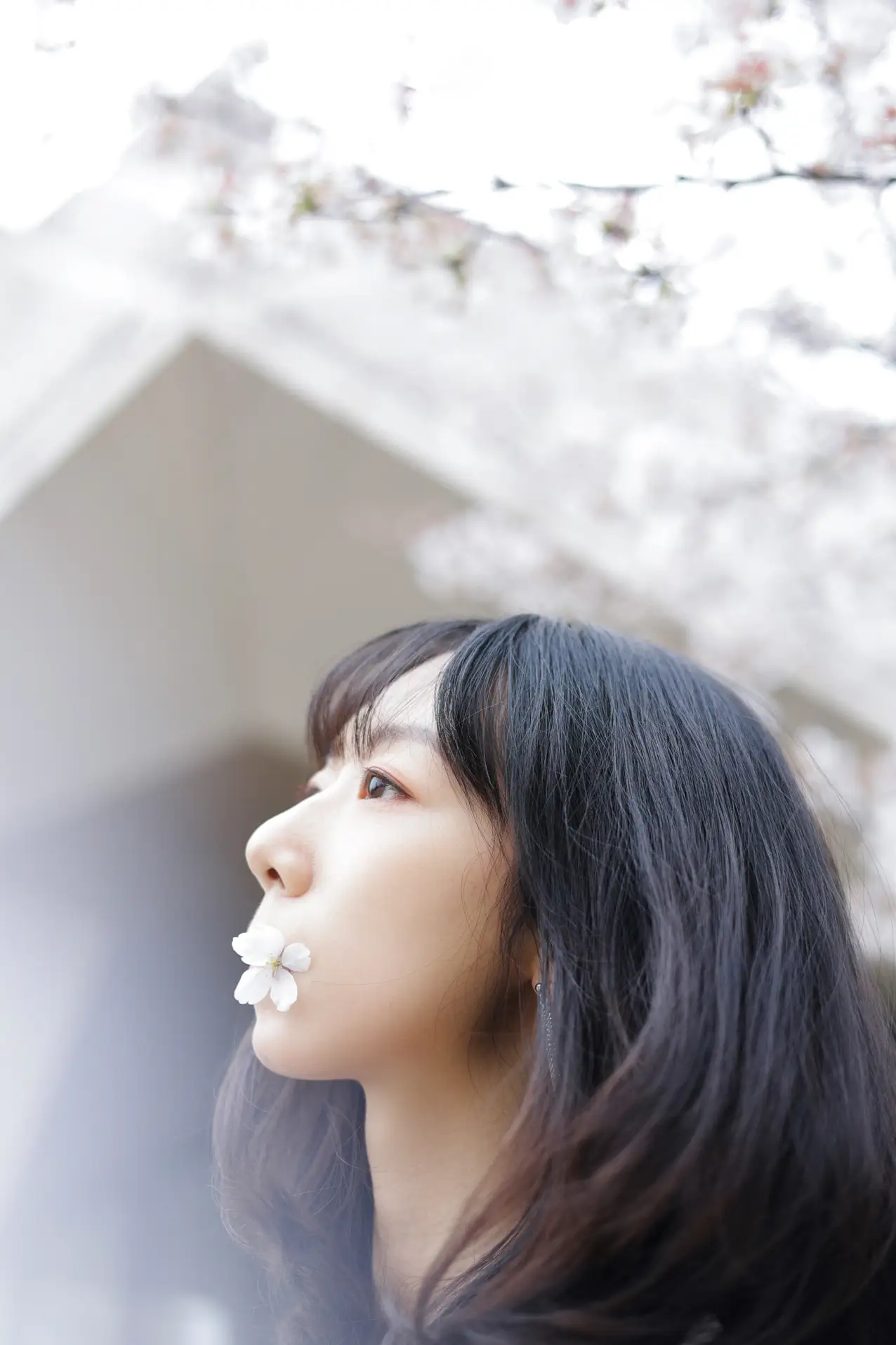 [艺图语] 2022.07.04 Vol.1370 – 白色花语 孟商一#[26P]-5