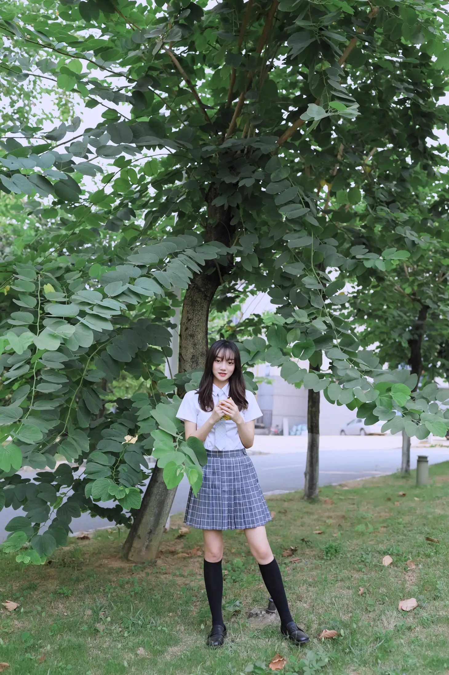 [艺图语] 2022.05.24 Vol.0972 – 校园青春 虫虫#[43P]-1