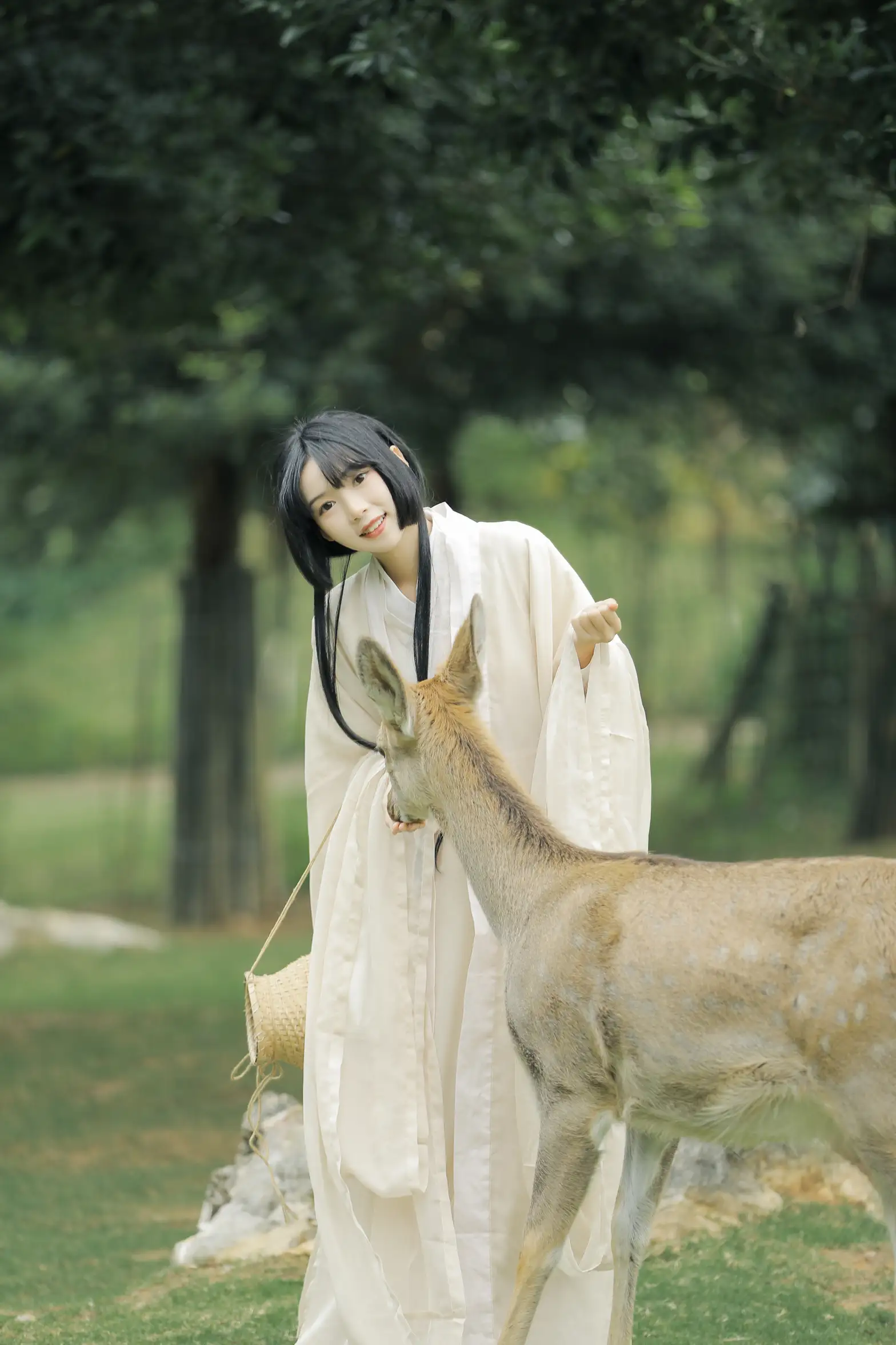 [艺图语] 2022.05.28 Vol.1013 – 鹿鸣 槐枝-#[27P]-4