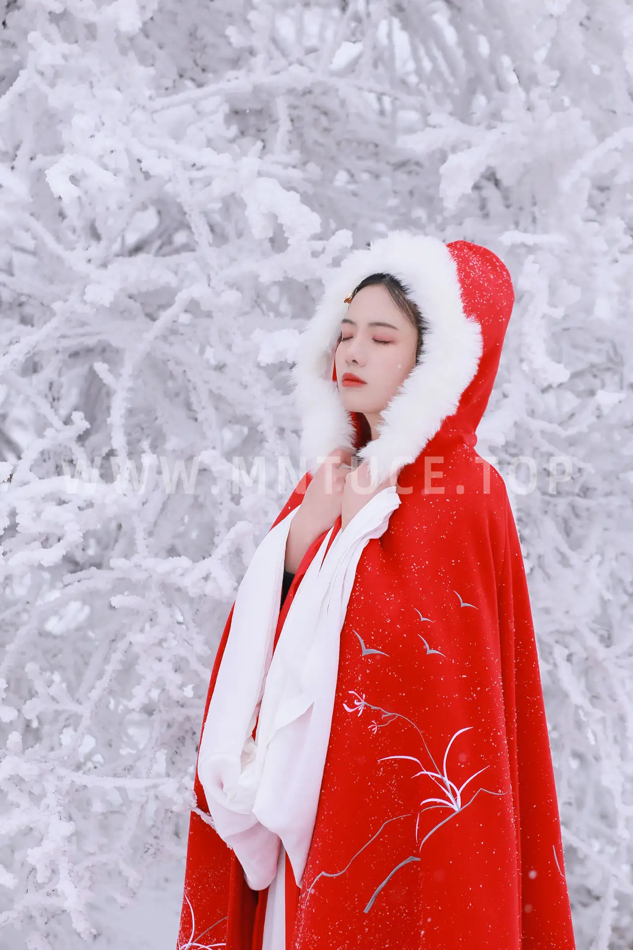 [艺图语] 2021.12.25 Vol.531 – 大雪 沂越#[35P]-9