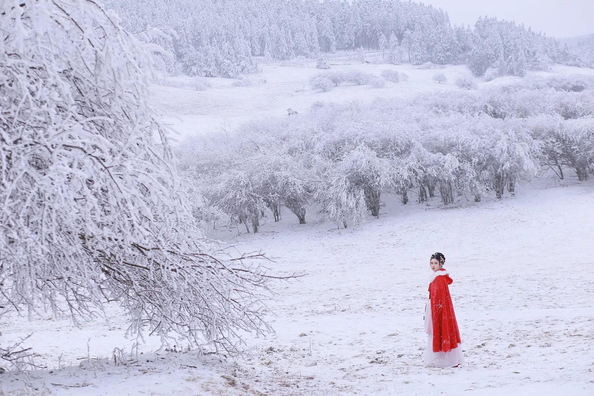 [艺图语] 2021.12.25 Vol.531 – 大雪 沂越#[35P]-4