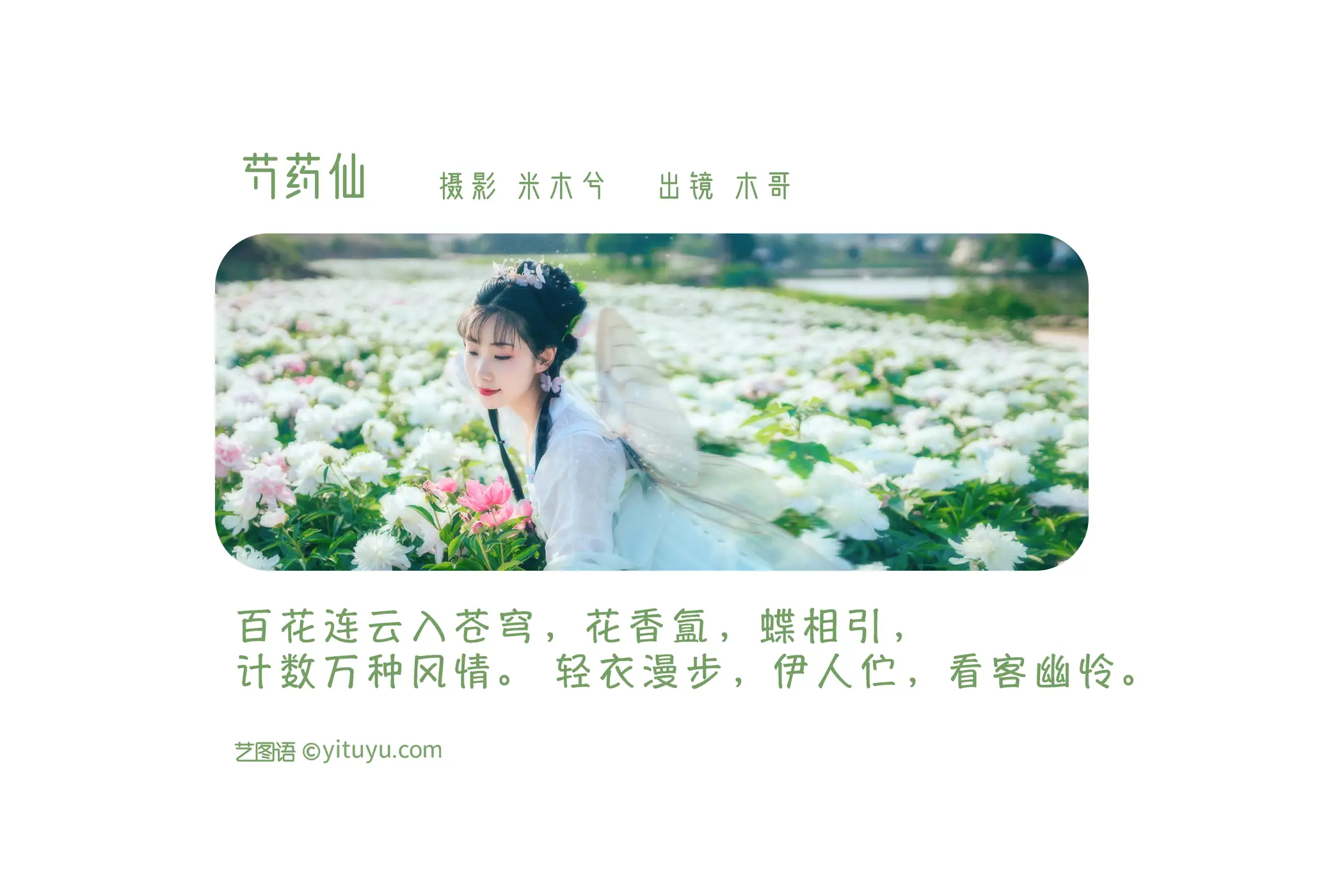 [艺图语] 2022.06.02 Vol.1063 – 芍药仙 木景抒#[27P]-2