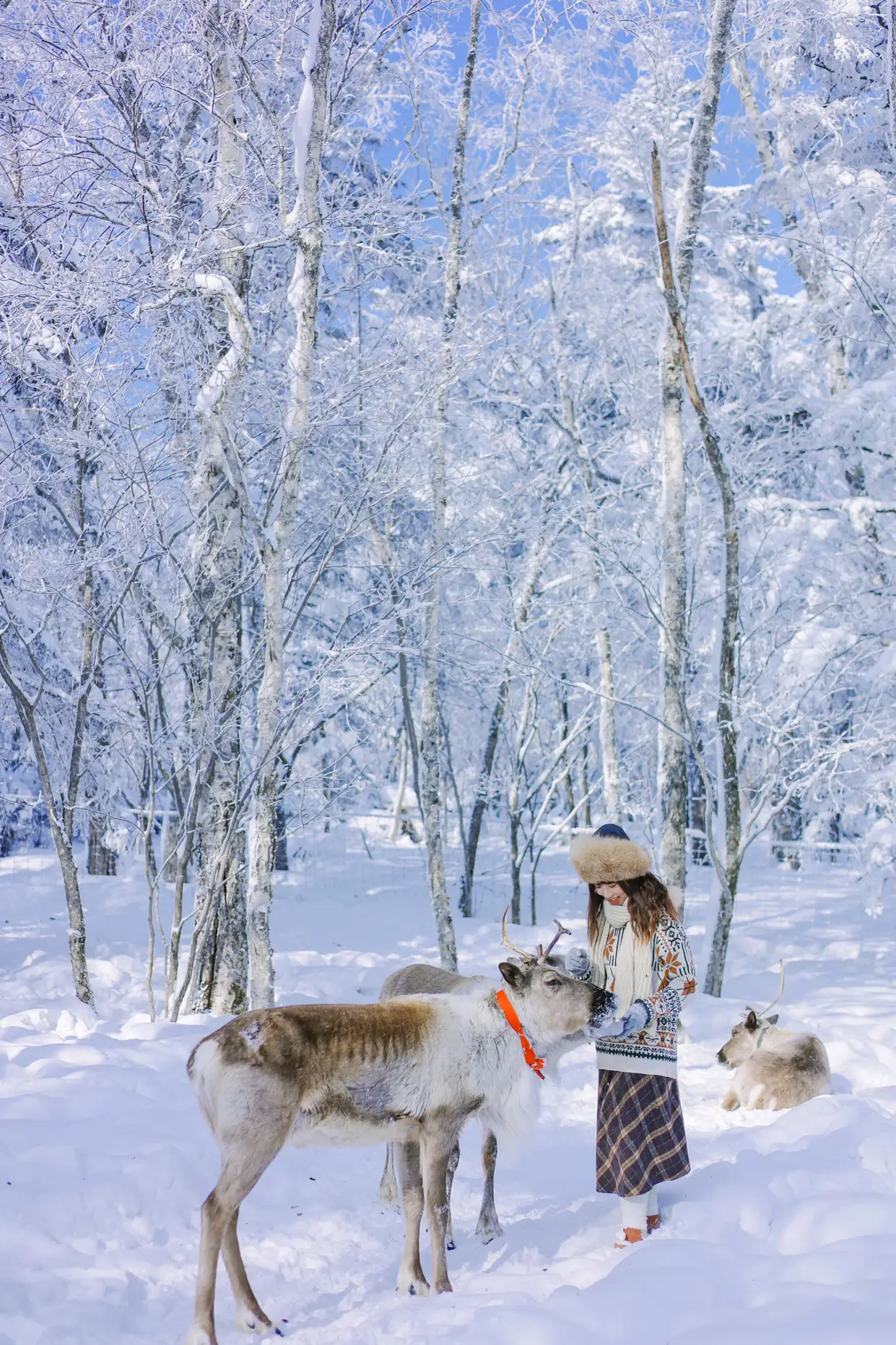 [艺图语] 2022.09.07 Vol.1888 – 北国的雪 蓝胖子-#[27P]-5