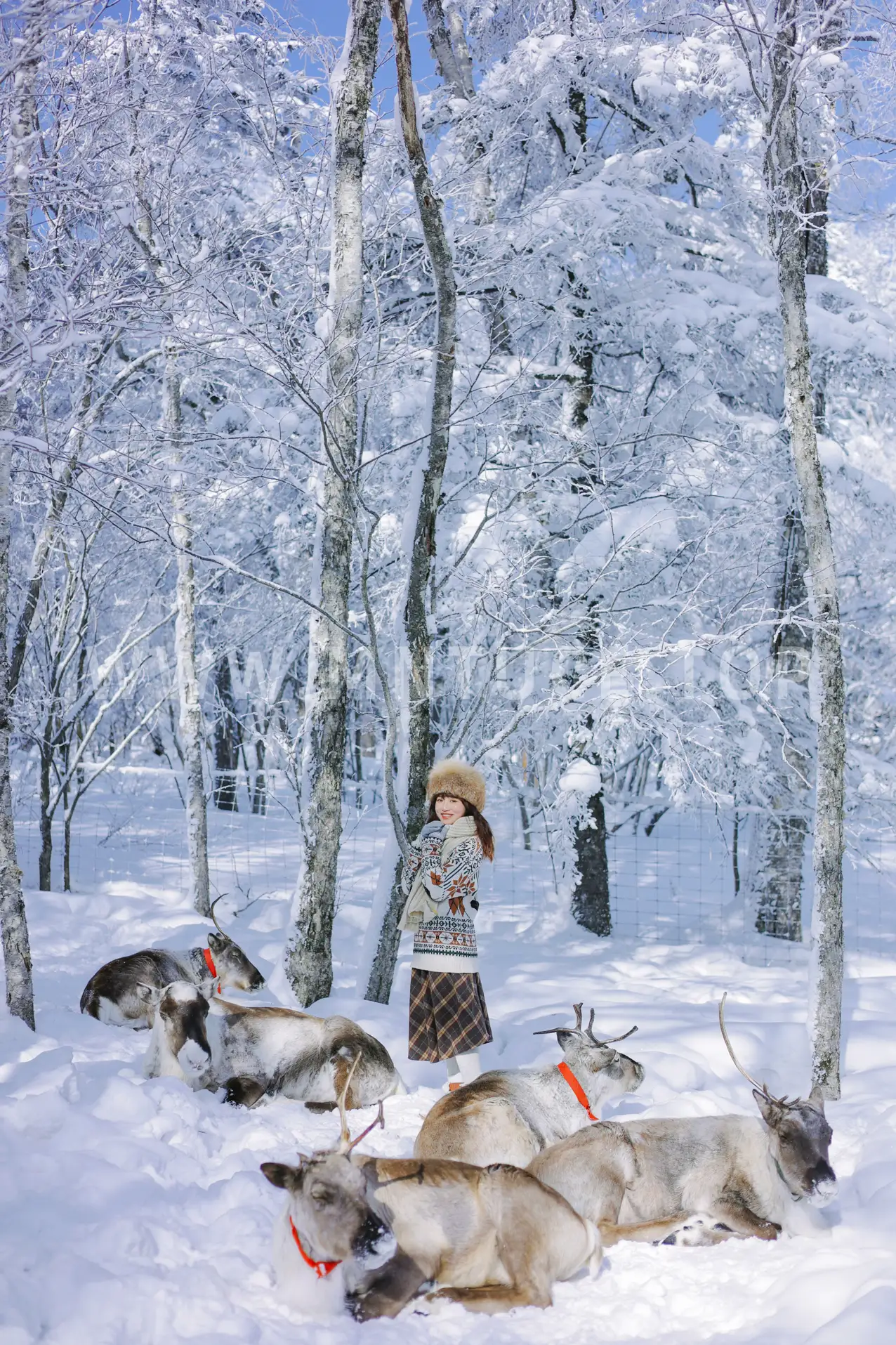 [艺图语] 2022.09.07 Vol.1888 – 北国的雪 蓝胖子-#[27P]-8