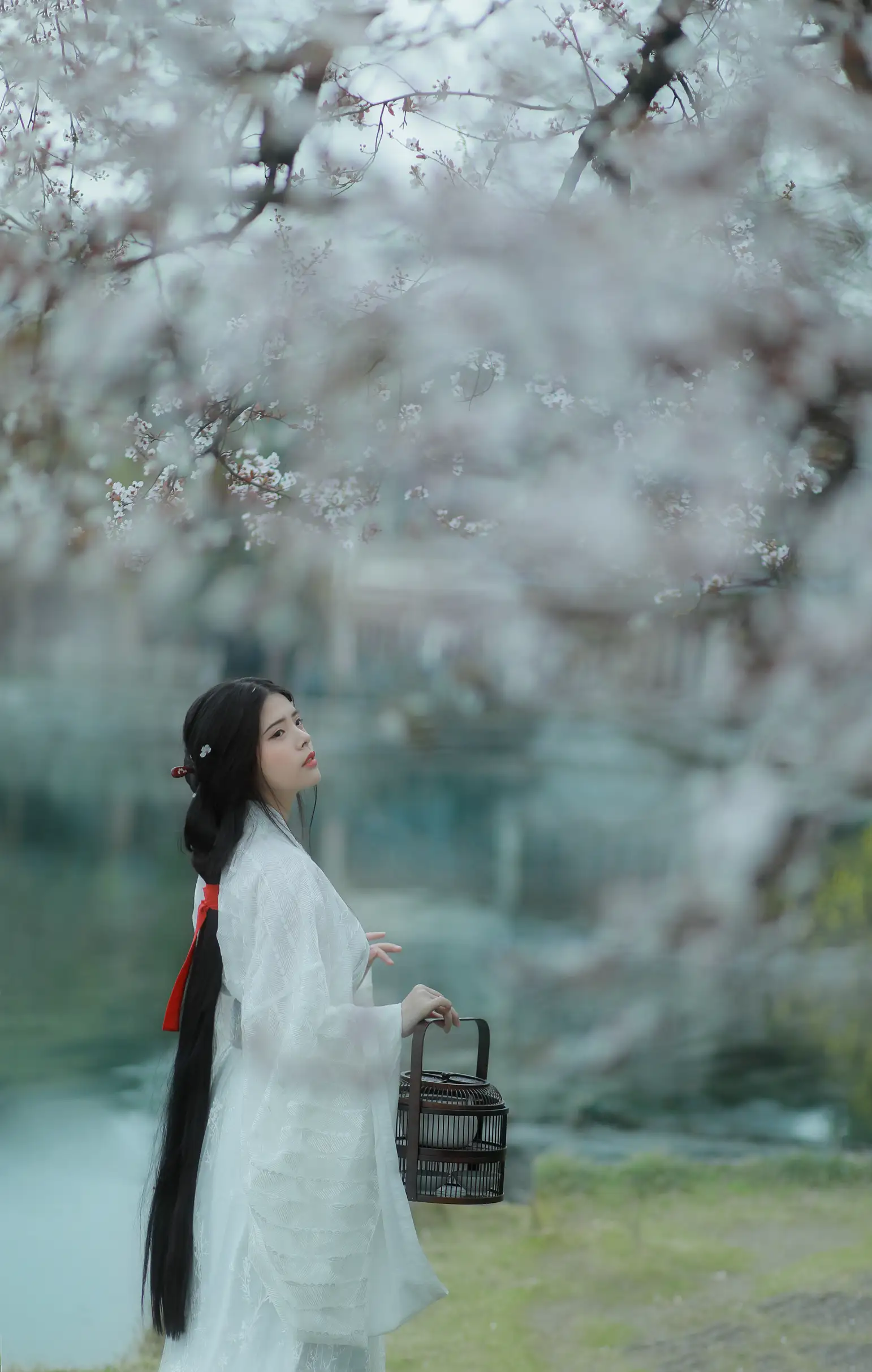 [艺图语] 2021.12.31 Vol.564 – 杏花雨 晚晚#[21P]-4