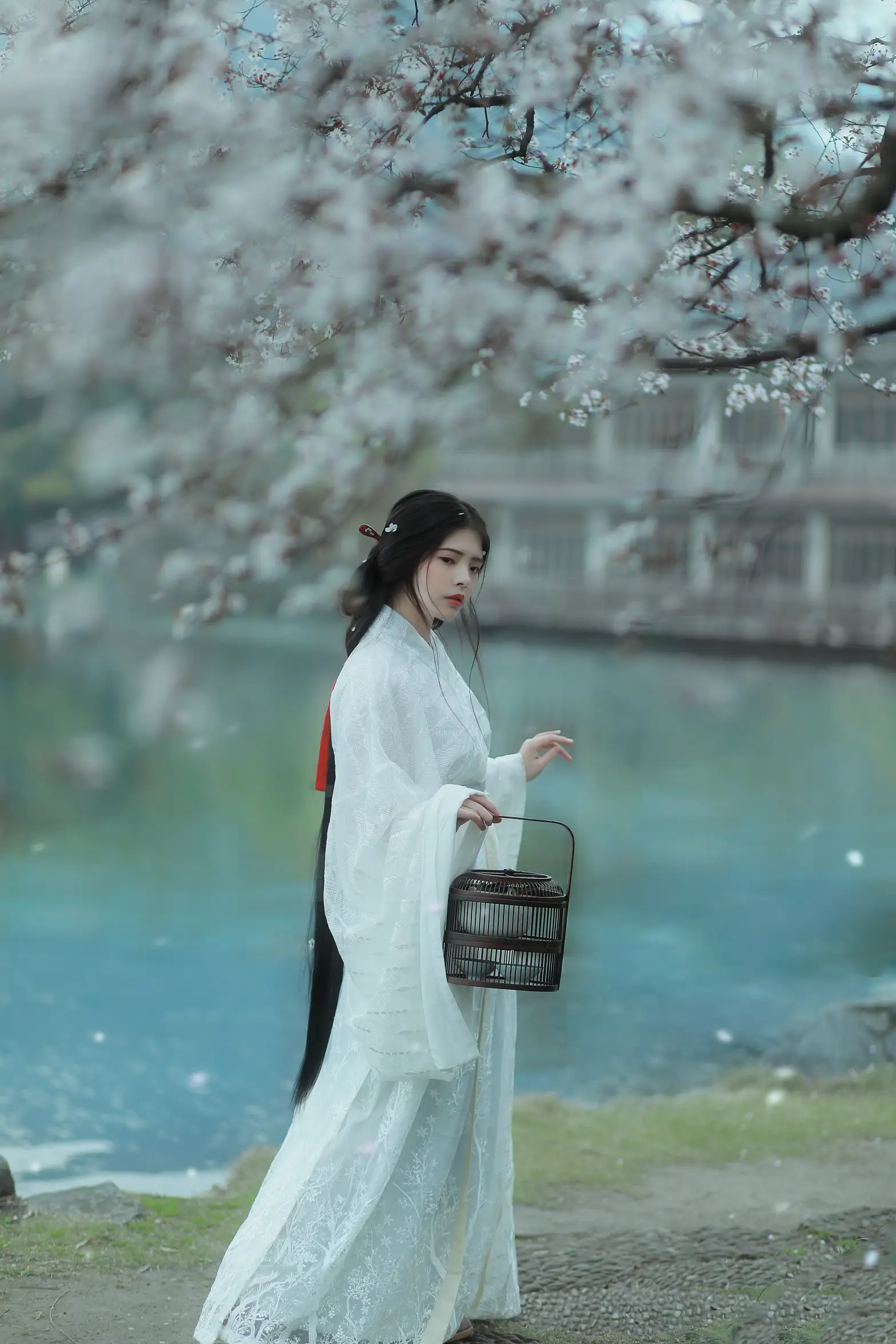 [艺图语] 2021.12.31 Vol.564 – 杏花雨 晚晚#[21P]-3