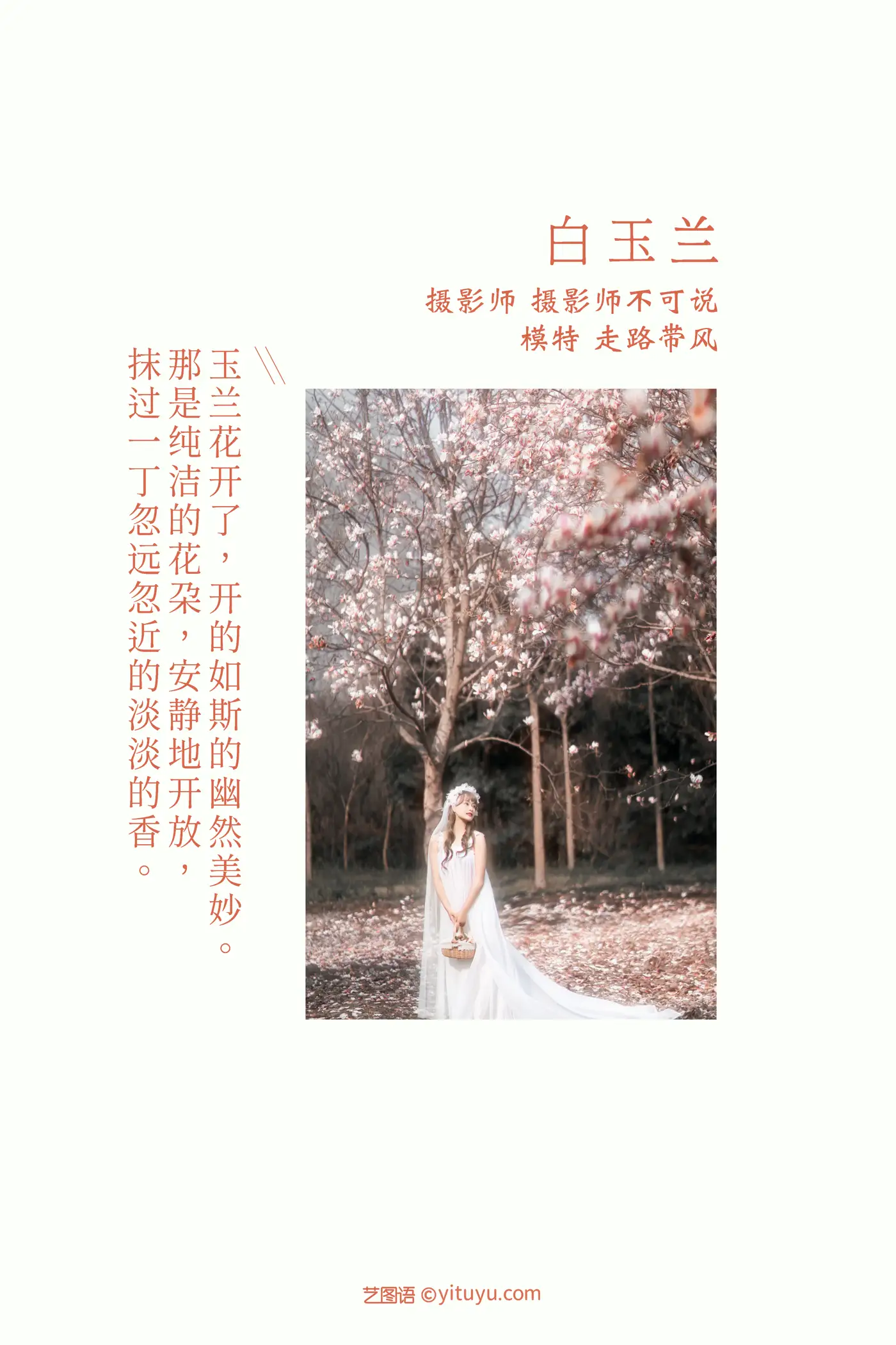 [艺图语] 2021.12.14 Vol.492 – 白玉兰 走路带风#[25P]-2