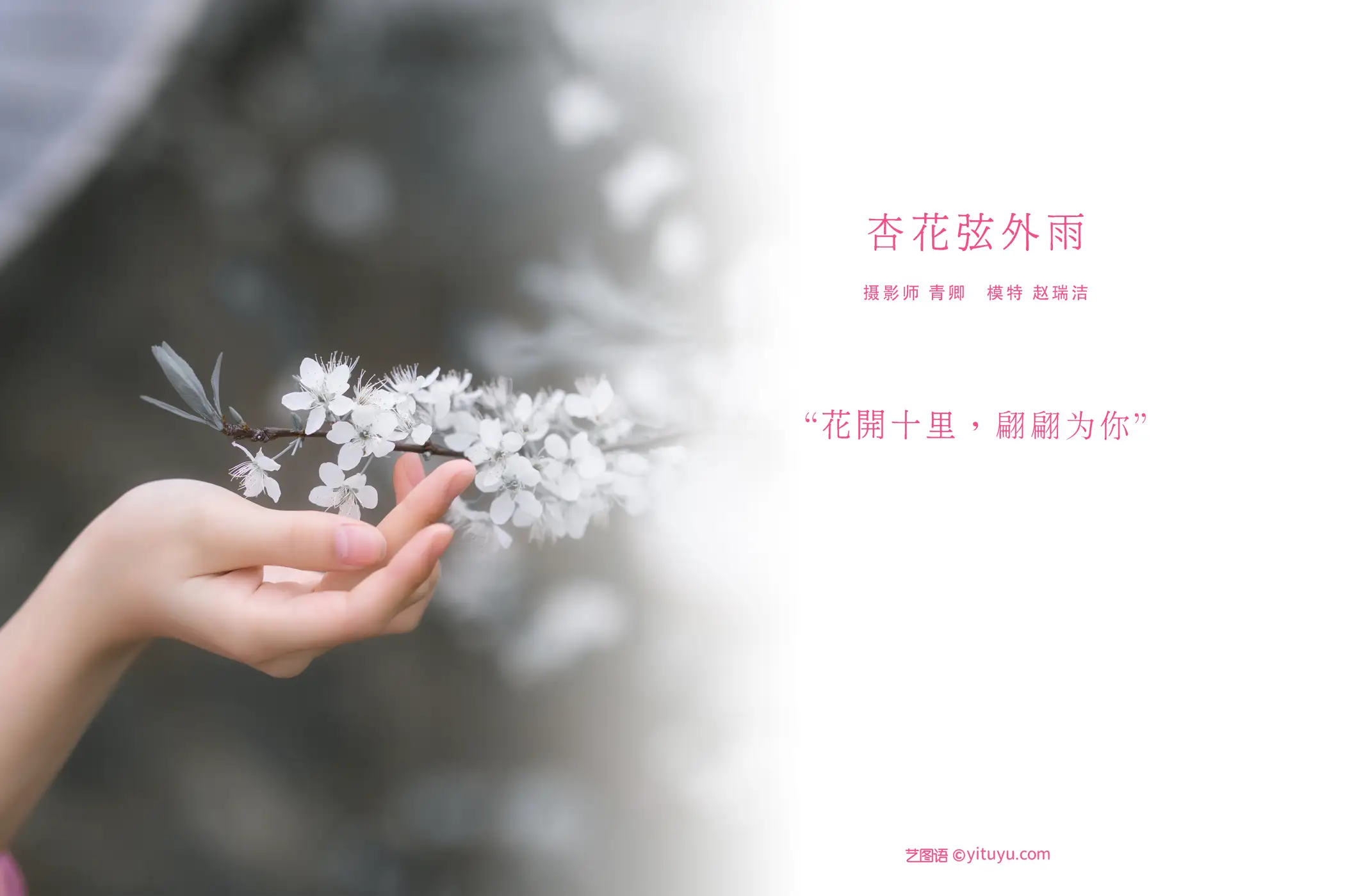 [艺图语] 2021.08.28 Vol.191 – 杏花弦外雨 赵瑞洁_EZ#[23P]-2