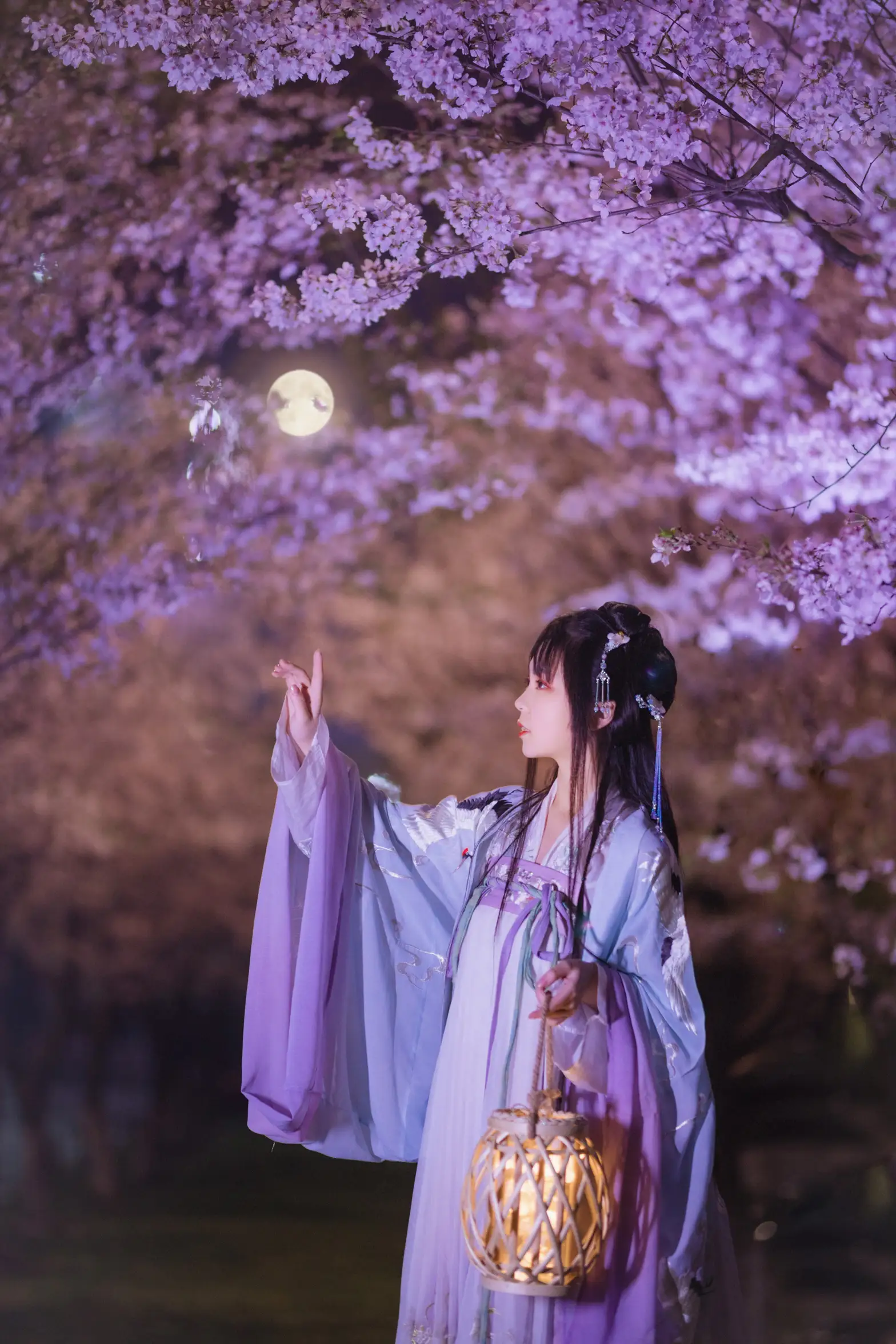 [艺图语] 2022.08.10 Vol.1673 – 夜樱 阡墨红尘#[20P]-19