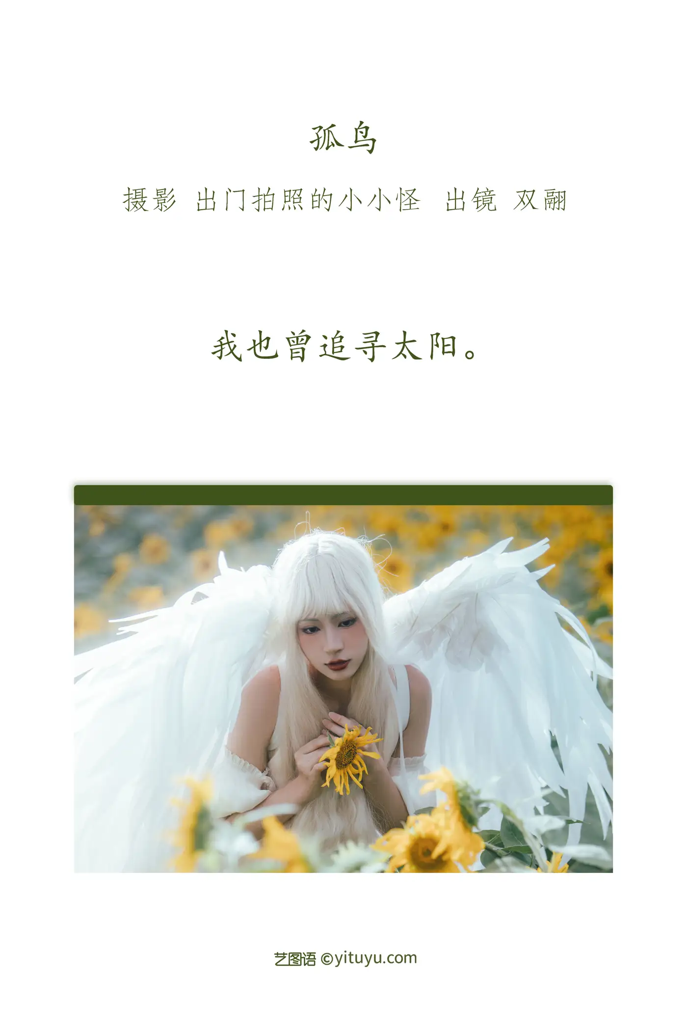 [艺图语] 2022.11.15 Vol.2441 – 孤鸟 努力搬砖的双翮#[21P]-2