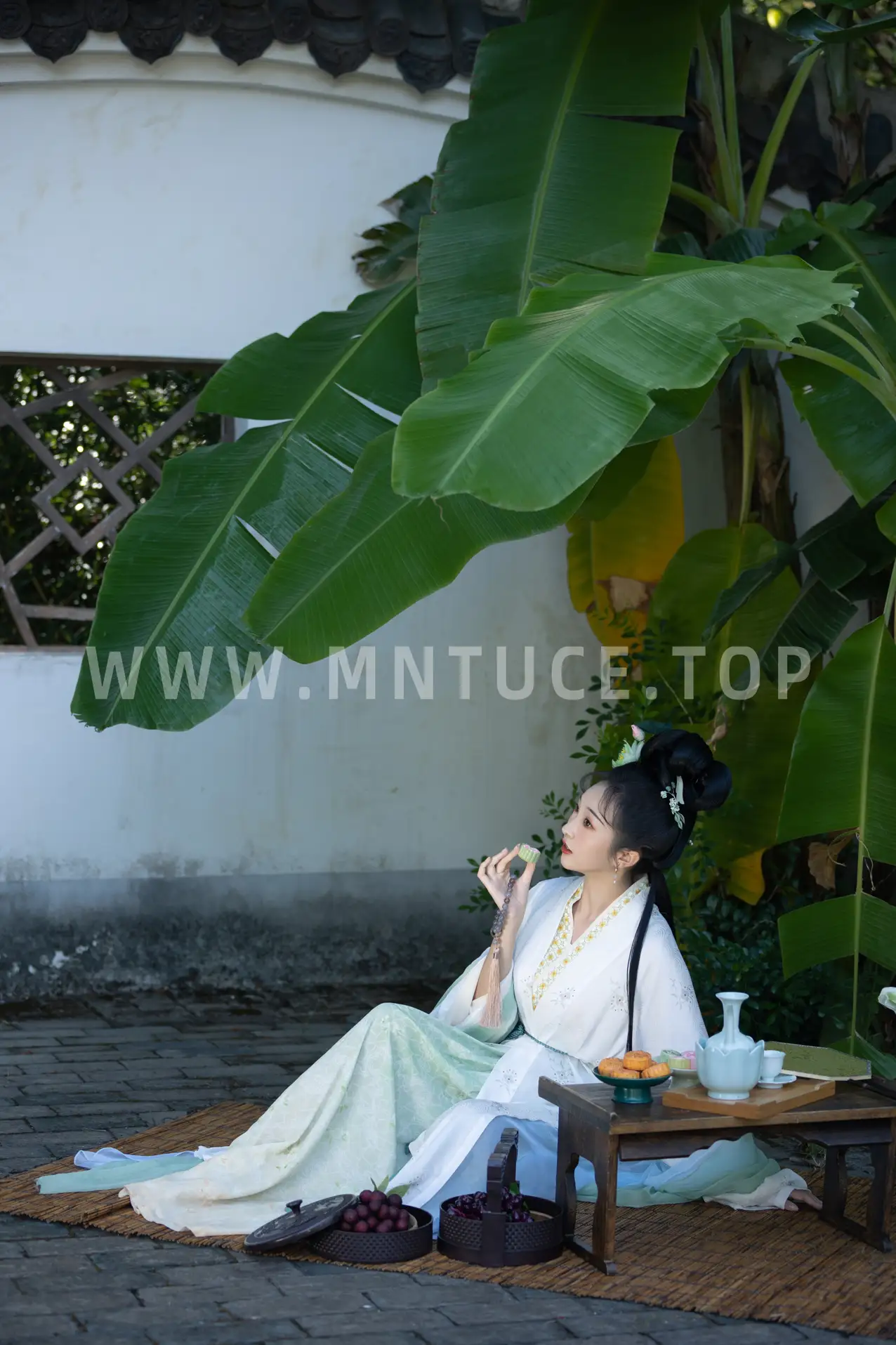 [艺图语] 2022.11.17 Vol.2458 – 绿了芭蕉 丸子有只猫#[34P]-4