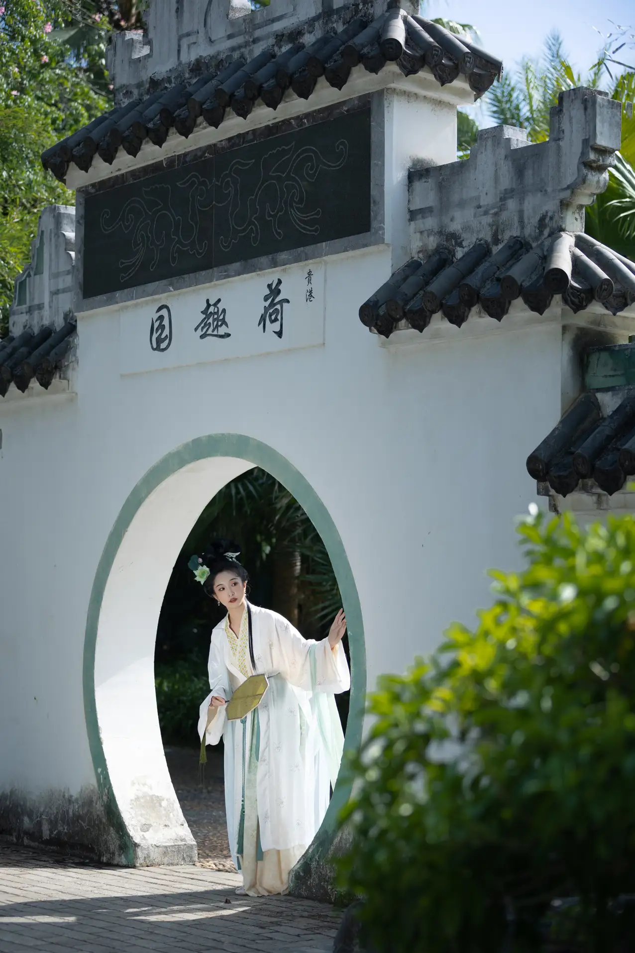 [艺图语] 2022.11.17 Vol.2458 – 绿了芭蕉 丸子有只猫#[34P]-3