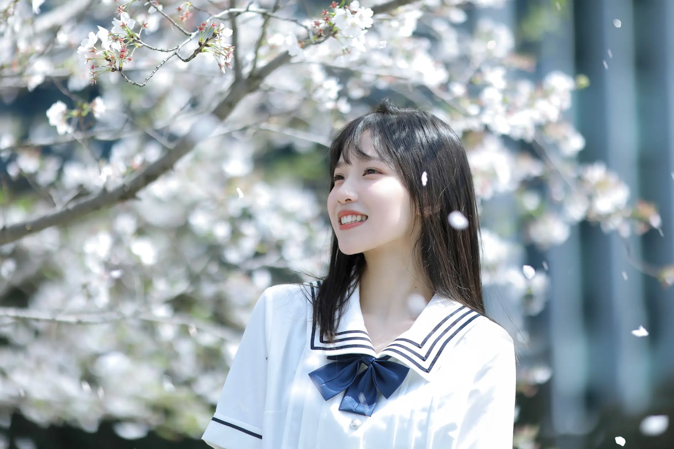 [艺图语] 2022.11.23 Vol.2506 春日樱花#[29P]-8